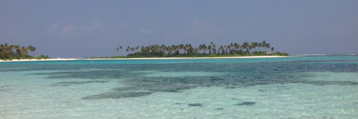 Rónán Doherty banner