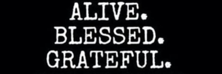 _trefizzle's profile banner image