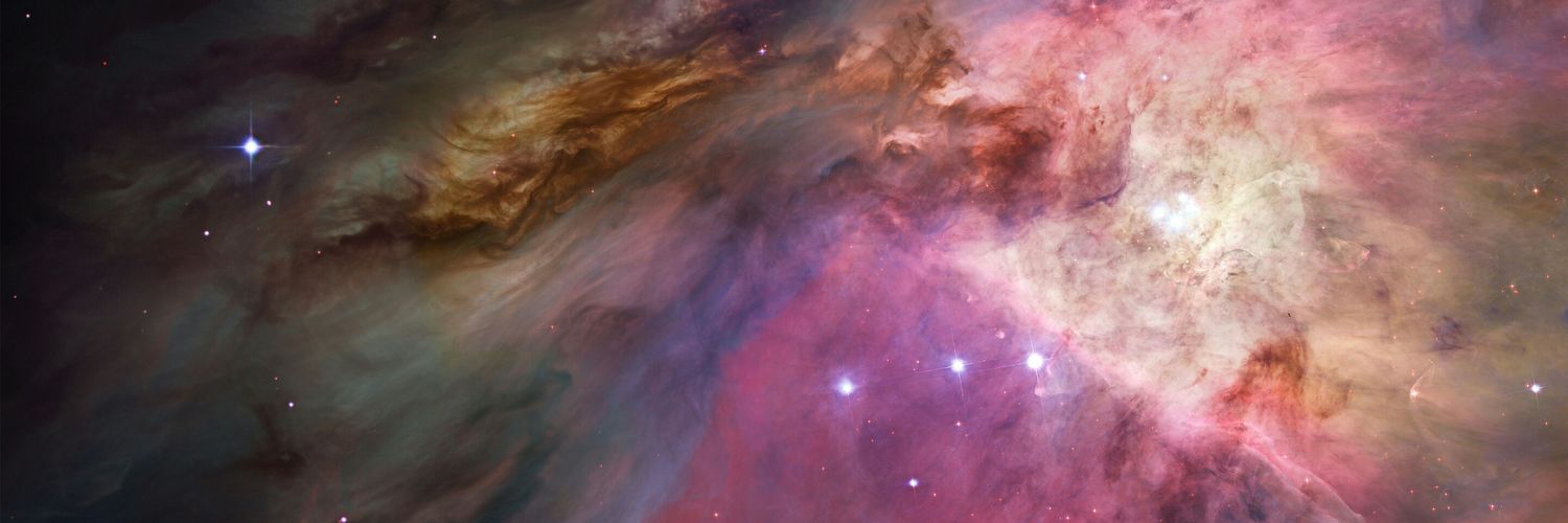 CaitlynWilhelm's profile banner image