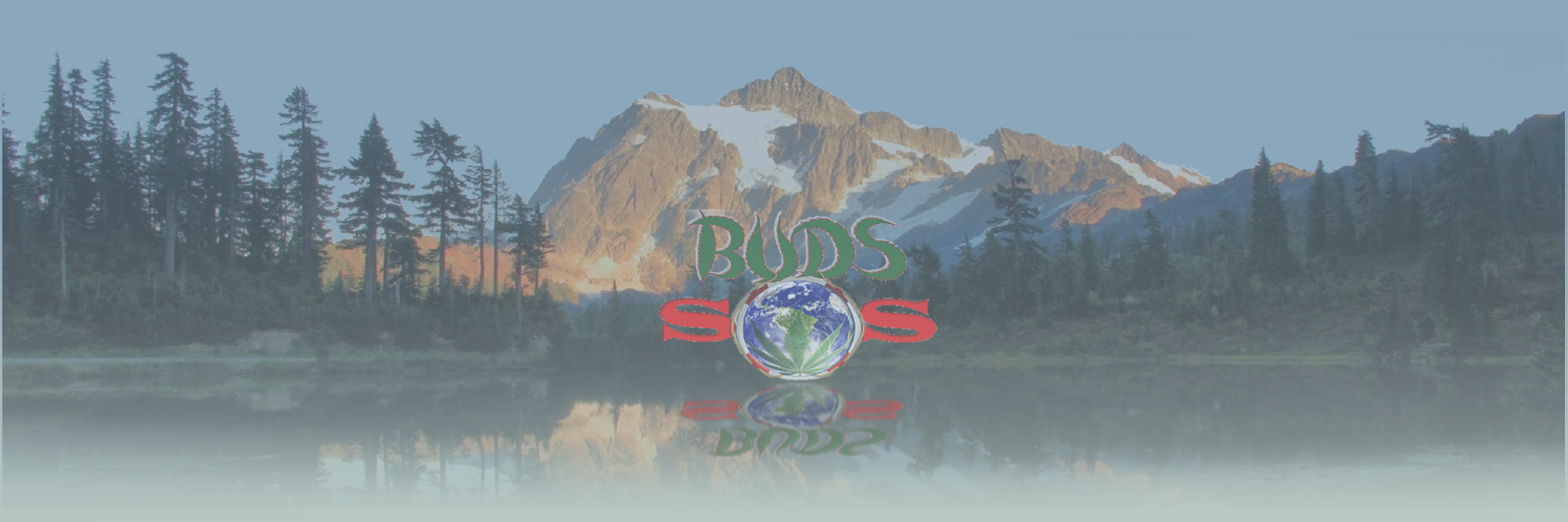 Buds_SOS's profile banner image