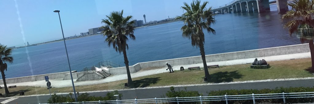 saori_uta's profile banner image
