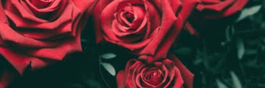 KaminiRedhi's profile banner image