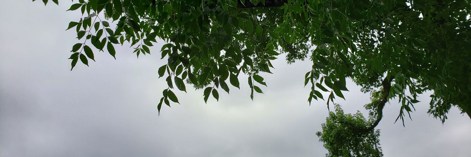 paineapple014's profile banner image