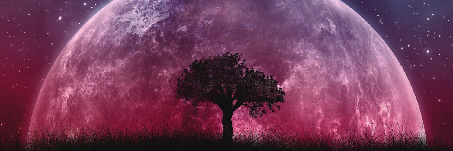HawkyWind36's profile banner image