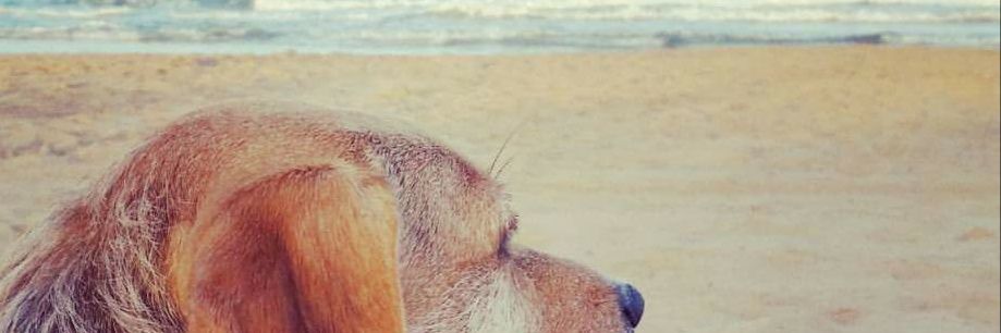 Andreabg95's profile banner image
