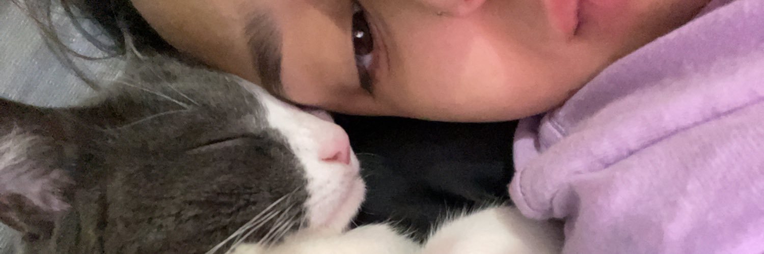 LoveCollins13's profile banner image
