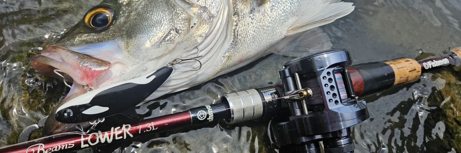 0731Fish's profile banner image