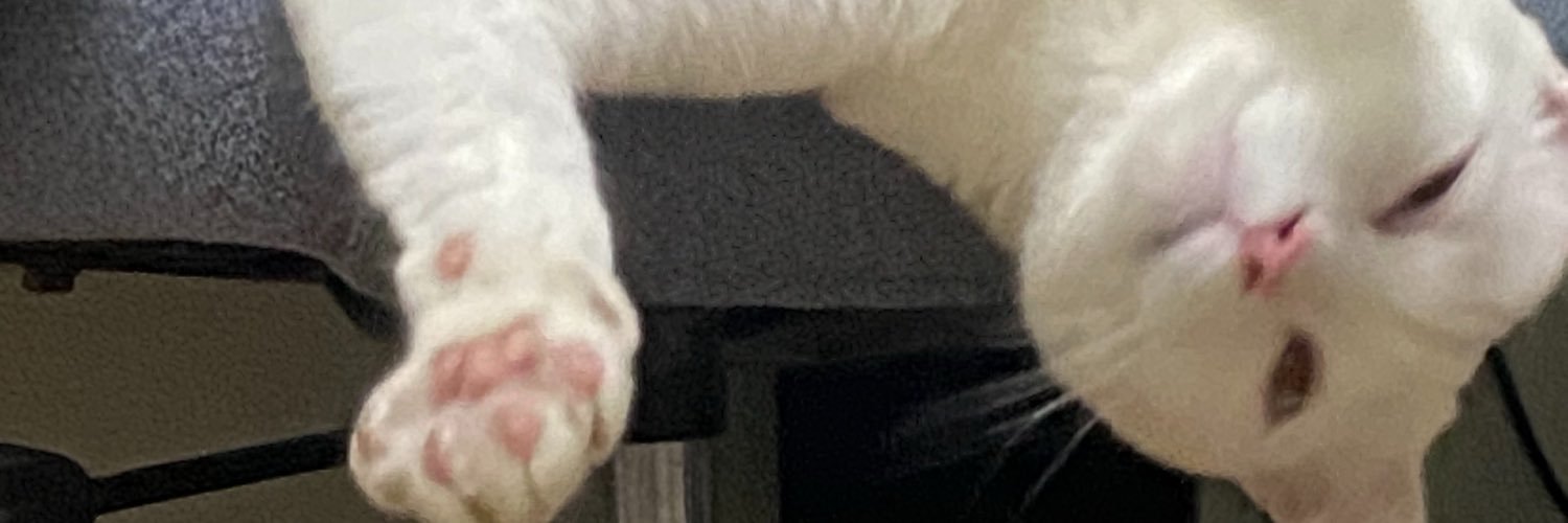 aunyoung_'s profile banner image