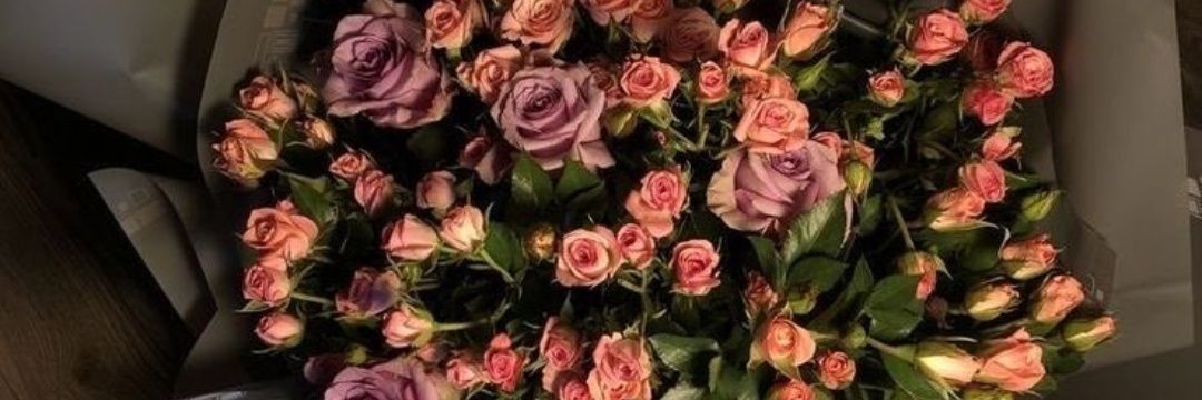 sinemmsahiner's profile banner image