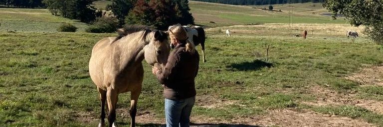 janelle doria banner