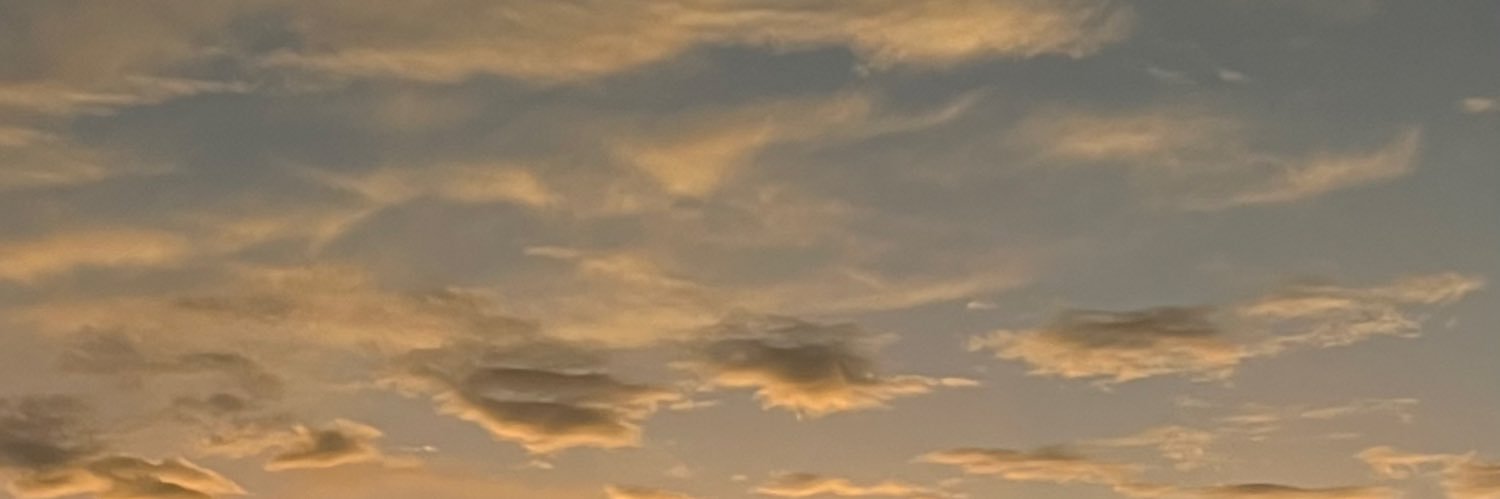 mustikaviaa's profile banner image