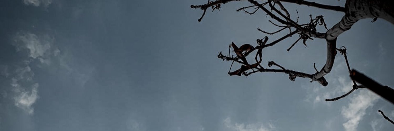 _dowyh's profile banner image