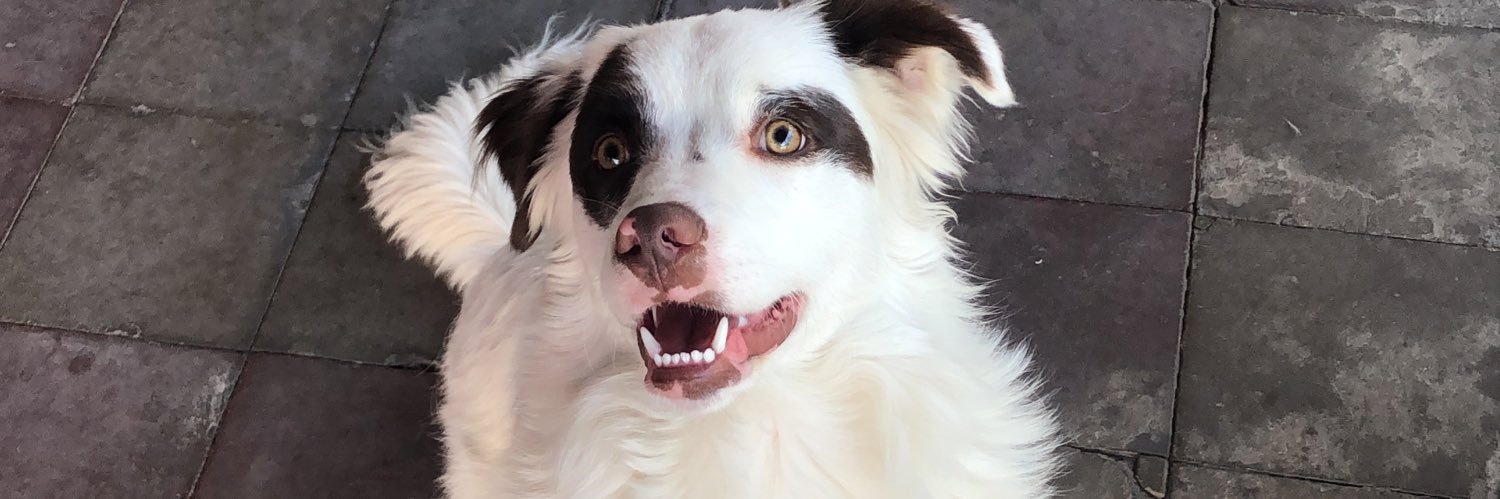 scheroederlj's profile banner image