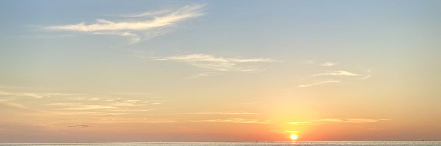 Zzza banner