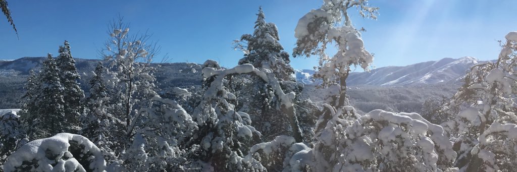 lorelaffitte's profile banner image
