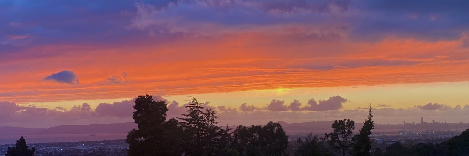 celestepacheco_'s profile banner image