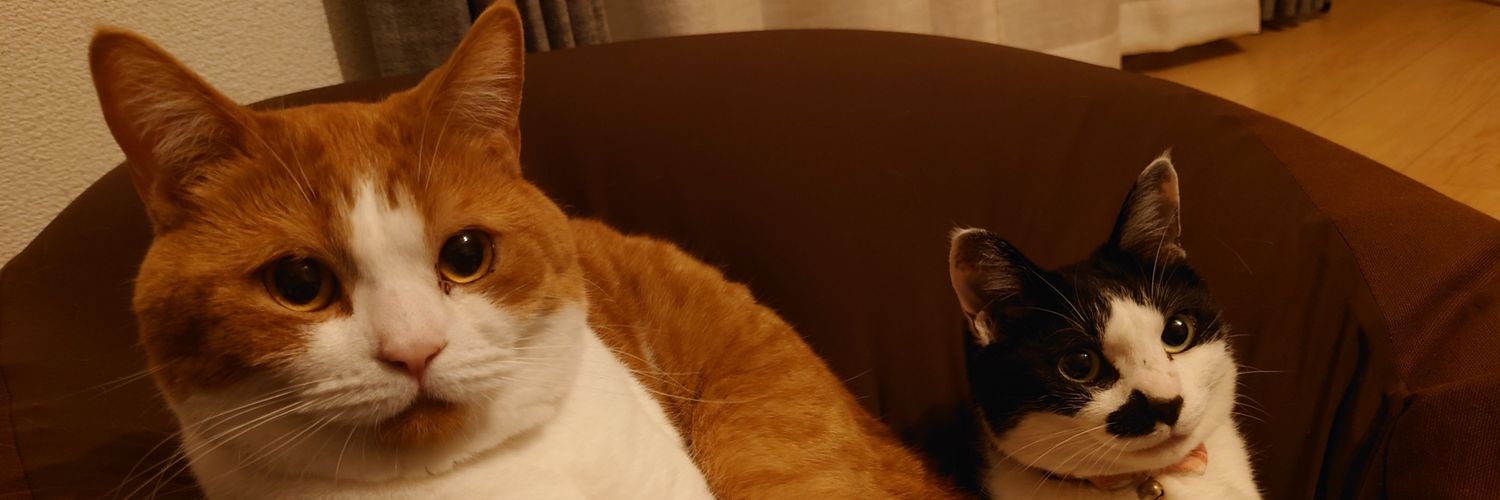 黑だんご＠5/31奈良ウルトラ banner