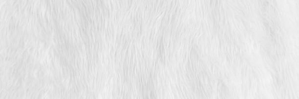 GqDre's profile banner image