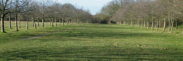 D_Profundis Profile Banner