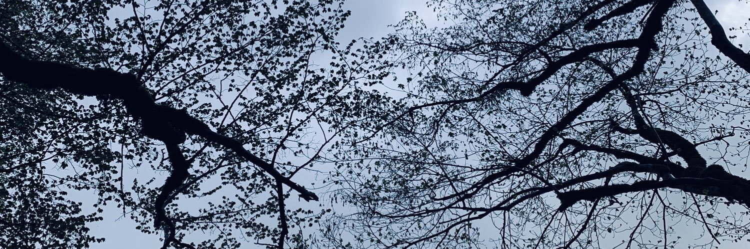 _Kax23's profile banner image