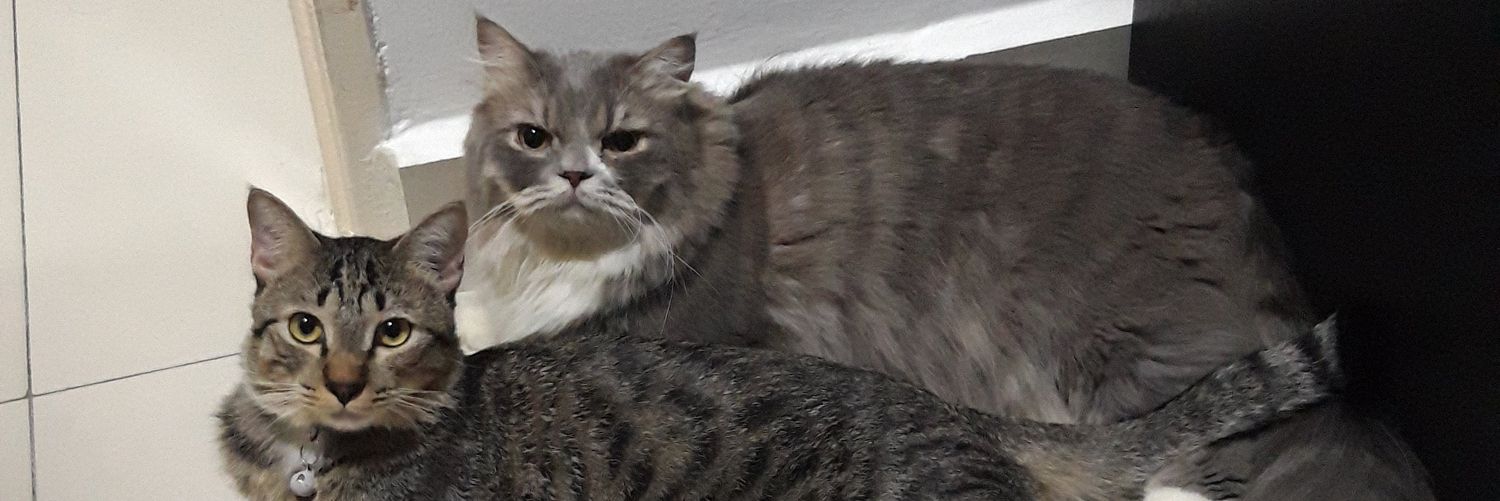itsjustamnah's profile banner image