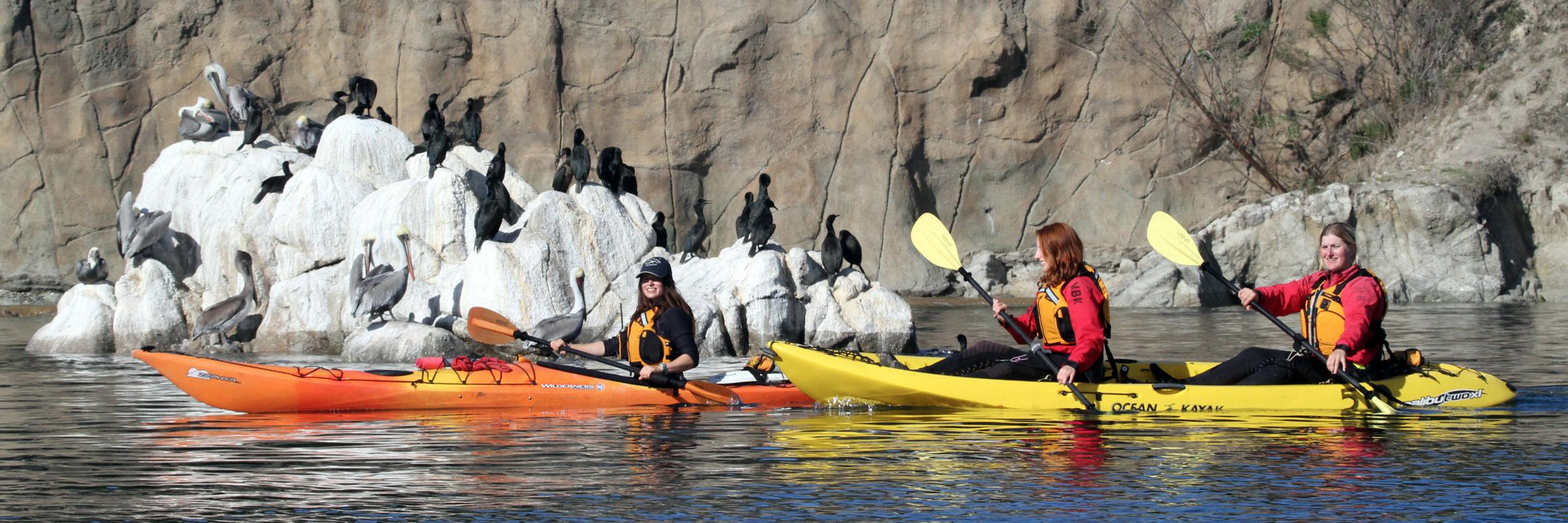MBKayaks's profile banner image