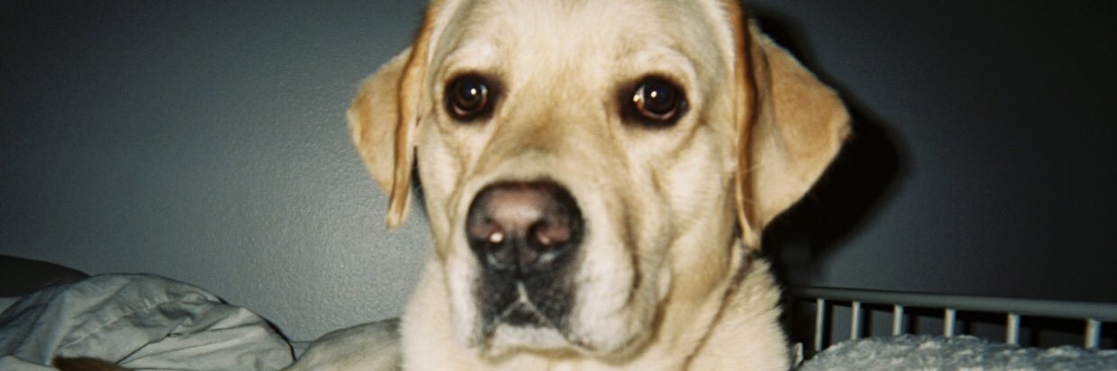 peyton_mattsonn's profile banner image
