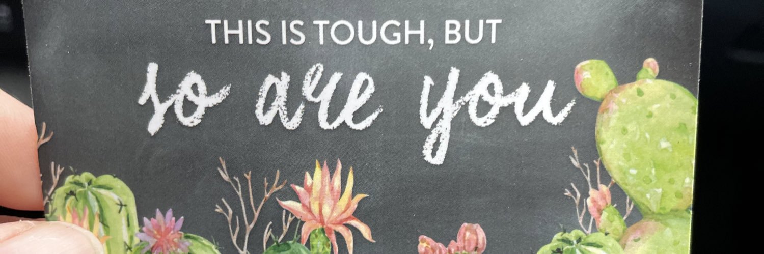 katy_stoops's profile banner image