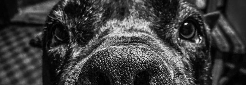 Pabliiiito16's profile banner image