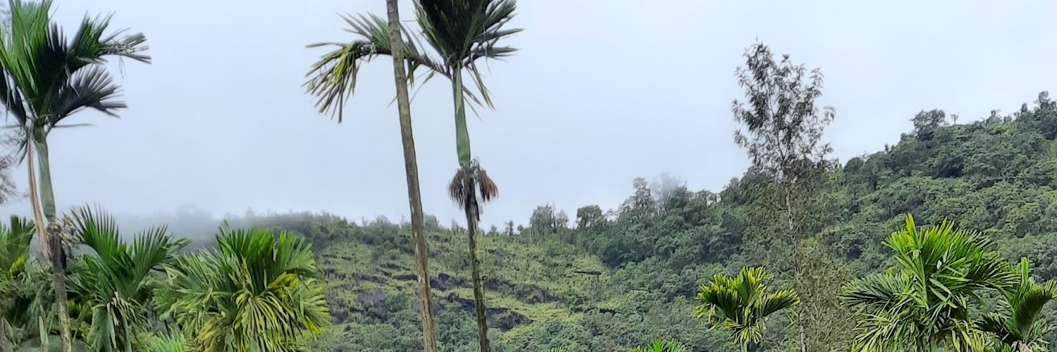 seqv4u's profile banner image