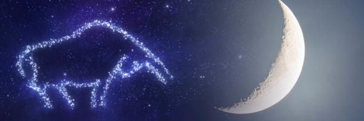 CT_forecast's profile banner image