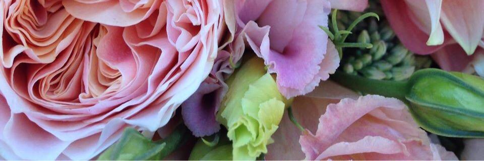 marmala8's profile banner image