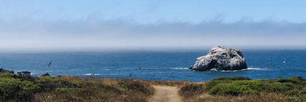 HeidiPatelSF Profile Banner