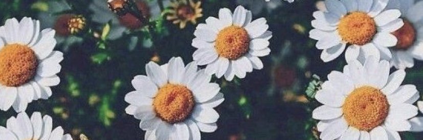 guler_gamze's profile banner image