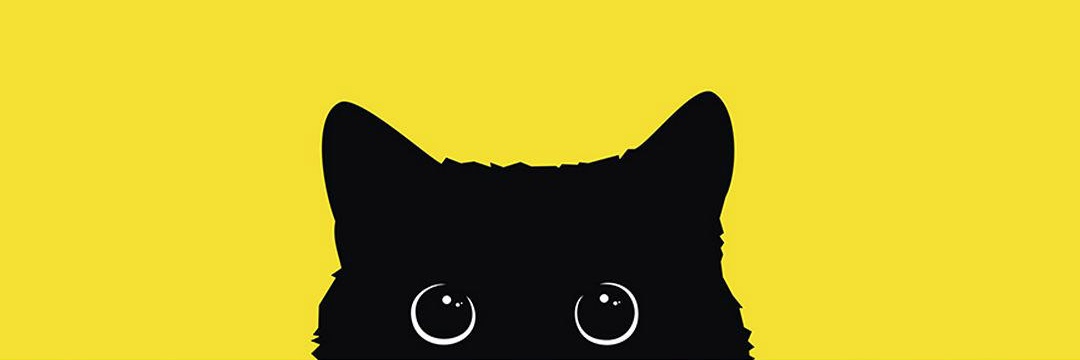 Boofinka's profile banner image