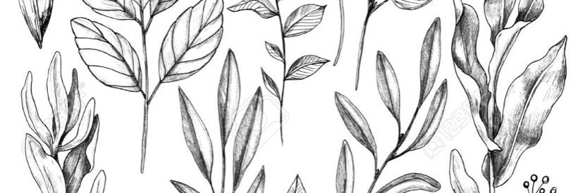 bkelland1's profile banner image