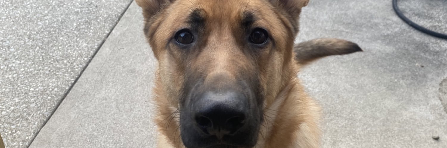 Dleasure_'s profile banner image
