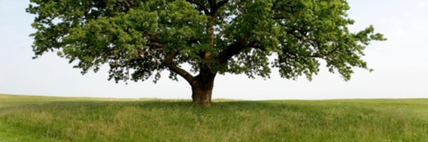 Agnieszka Kowalska banner