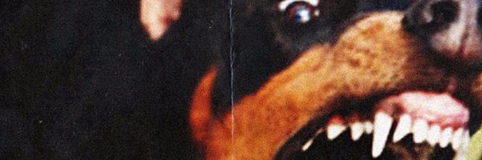 Feignshot's profile banner image