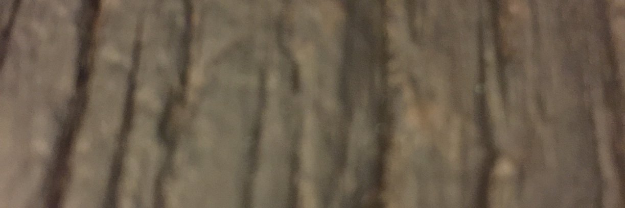 SusanDBunce's profile banner image