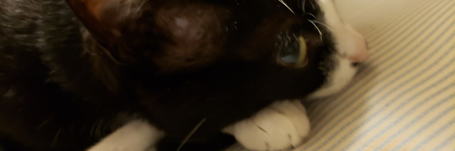 cm_nyako's profile banner image