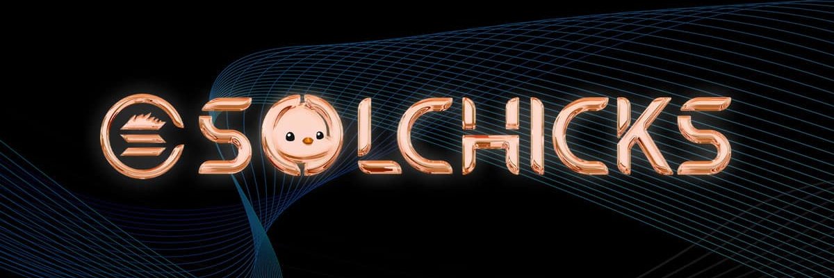 solChicksarmy's profile banner image