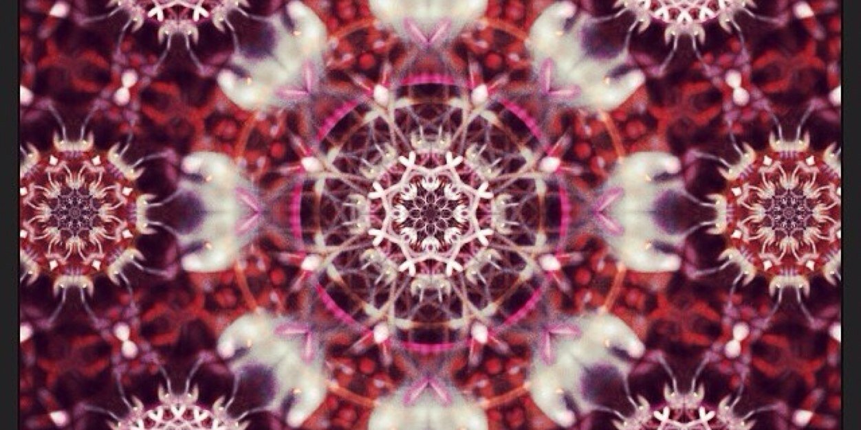 Cinzia Scarpetta banner