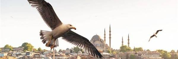 Ö🆉🅴🅽 banner