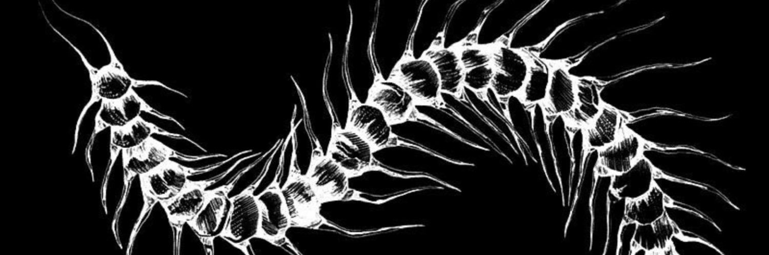 spookbombs's profile banner image