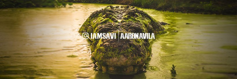 aaronavila's profile banner image