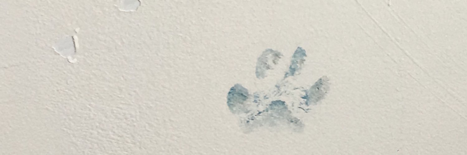 sxrahleon's profile banner image