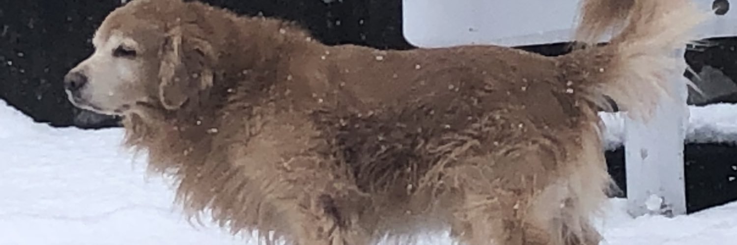 kaichun104's profile banner image