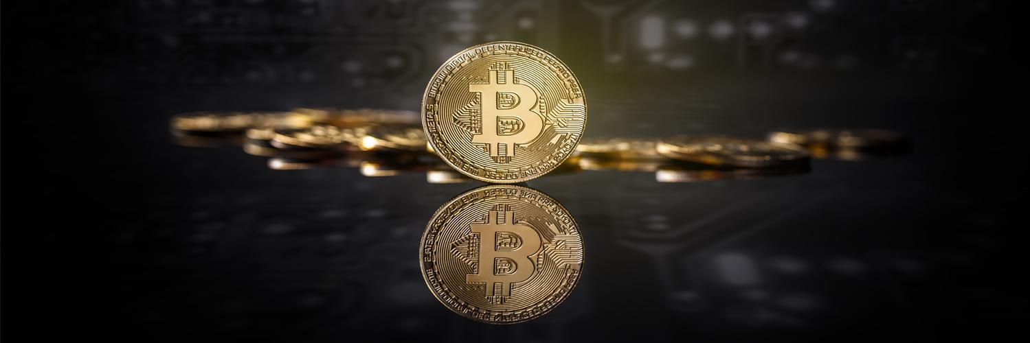 coinprim's profile banner image
