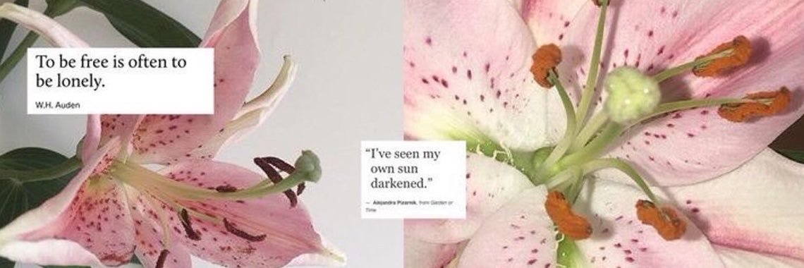 flolrys's profile banner image